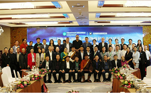 凯发一触即发以行践言，守护生态平衡