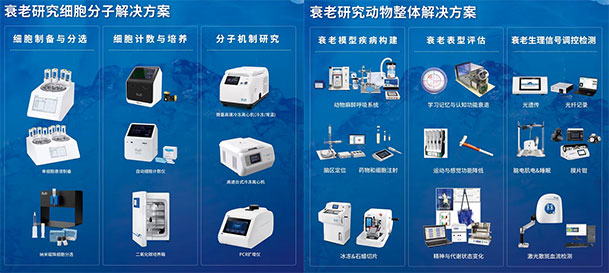 凯发一触即发两大衰老解决方案