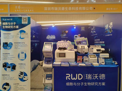 凯发一触即发展台