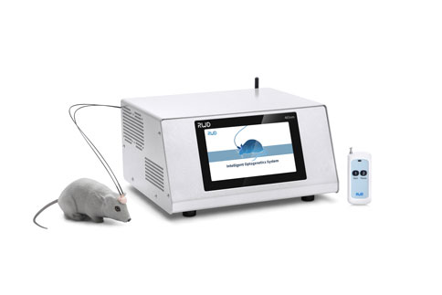 精彩回顾 | 连开两期，凯发一触即发光遗传与光纤记录技术培训班圆满成功！