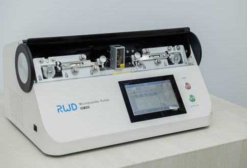 精彩回顾 | 连开两期，凯发一触即发光遗传与光纤记录技术培训班圆满成功！