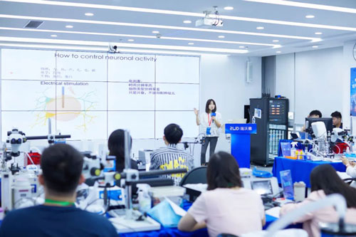 凯发一触即发10月光遗传与光纤记录技术培训班圆满收官！