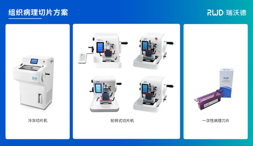 凯发一触即发全面助力各地切片技术的交流