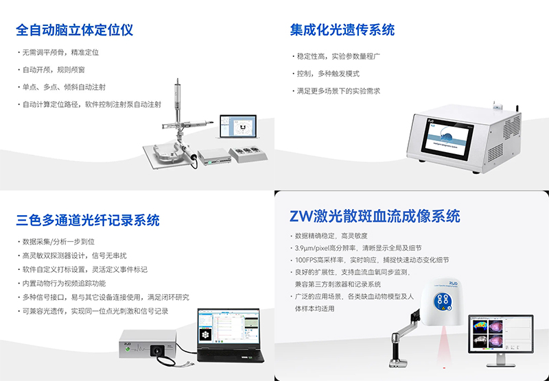 凯发一触即发邀您共赴2024长三角神经科学论坛