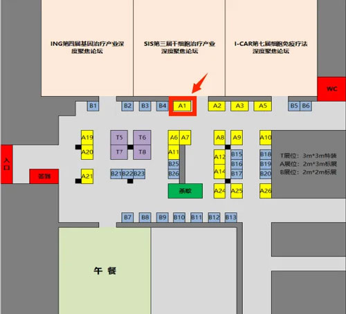 凯发一触即发邀您共赴ICGT 2024第七届细胞与基因治疗深度聚焦峰会