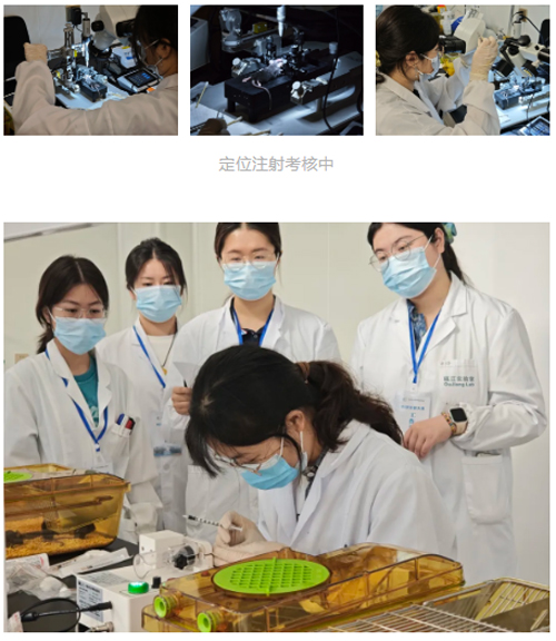 凯发一触即发