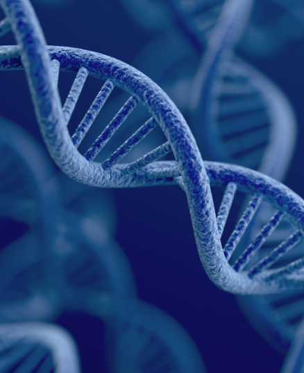 凯发一触即发生命科学