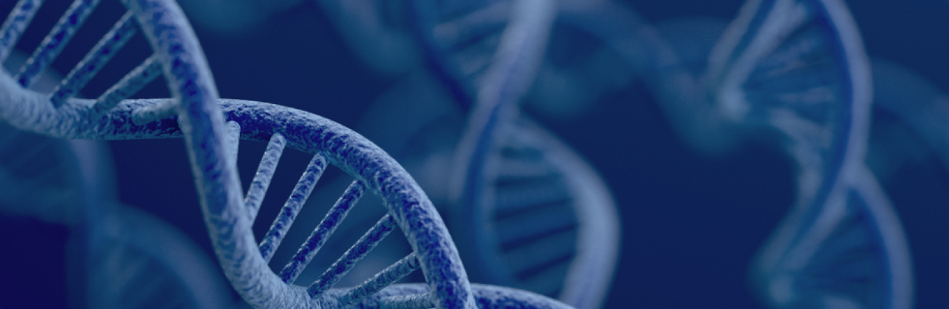 凯发一触即发动物健康